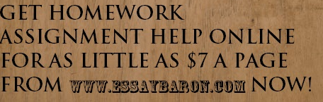 Homework assignment help online