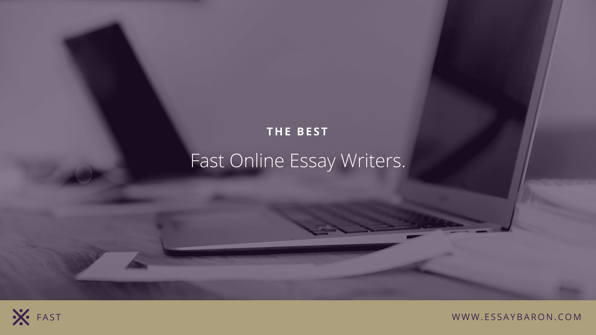 Fast Online Essay Writer